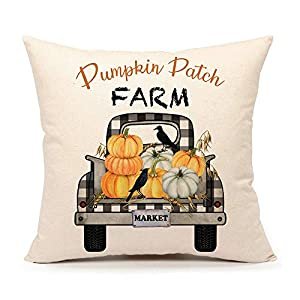 4TH Emotion Fall Pumpkin Pillow Cover